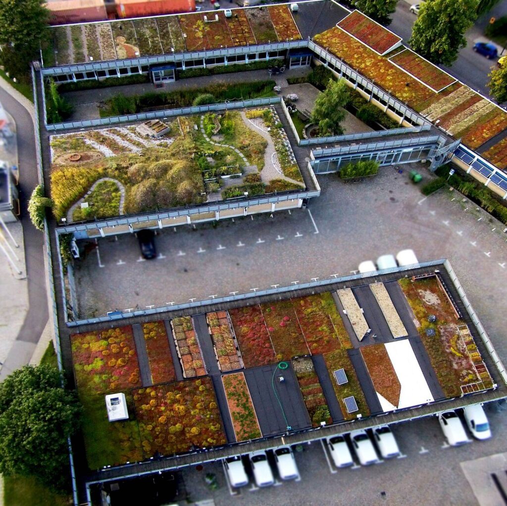 Blå-grønn dag på Scandinavian Green Roof Institute